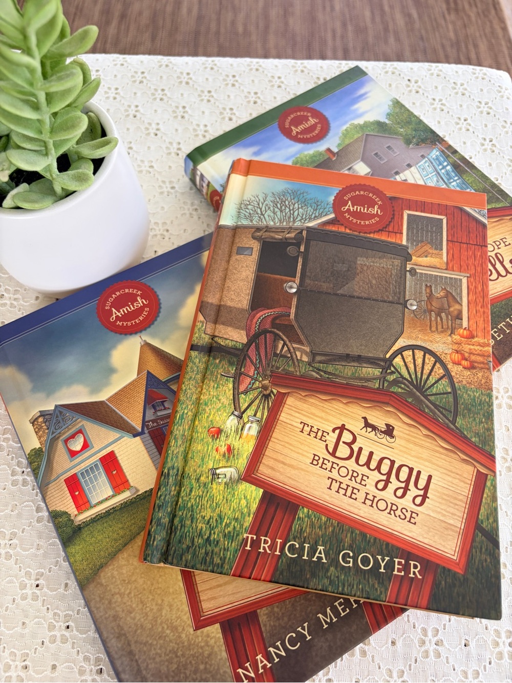 3 Sugarcreek Amish Mystery Books Fiction Hardcover Women’s books